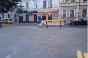 Женщина украла скамейку из центра Черновцов и унесла с собой: соцсети обсуждают видеоролик