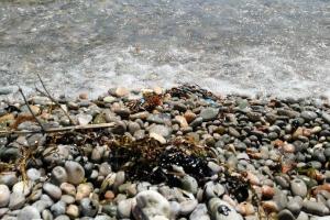 В Крыму внезапно почернело море: люди не могут купаться