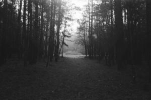 В России педофил изнасиловал десятилетнюю и оставил тысячу рублей