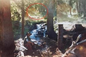 В США обнародовали уникальное фото: в кадр случайно попал снежный человек