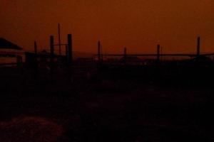 Знак с небес: в РФ в разгар дня таинственно исчезло солнце и массово погибли птицы