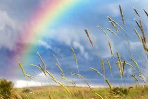 Лето - это жара и веселые ливни: синоптик рассказала о погоде в Украине на 26 июля