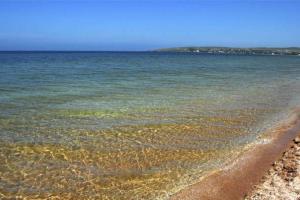 Из Киева станет легче добираться до Азовского моря: в "Укрзалізниці" сообщили хорошую новость