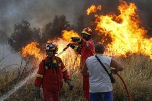 Все в огне: масштабные пожары в Греции убили 20 человек, много пострадавших