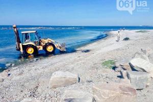 Бердянские пляжи снова покрылись водорослями