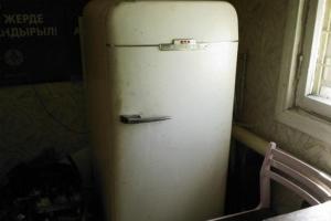 Трагедия в России: Двое малышей задохнулись в старом холодильнике