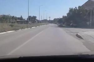 "Судак курортный": вдоль дороги бурьян, вид заброшенности и запущенности - соцсети 
