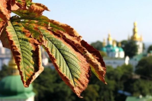 Осень близко: Украинцев ждут холодные ночи в августе