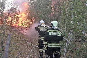 Под российским Воронежем пылает военный полигон