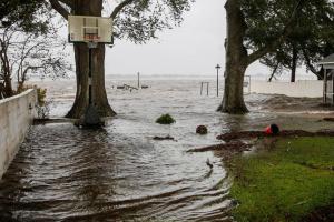 Число жертв урагана "Флоренс" в США увеличилось до 11