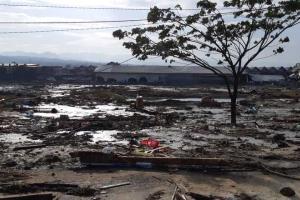 Количество жертв в результате цунами в Индонезии увеличилось