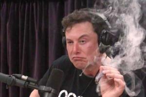 Илону Маску предложили сняться в фильмах для взрослых за 150 тысяч долларов