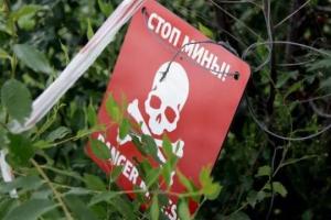 "ДНР" не выполнила договоренности": правозащитник прокомментировал гибель детей под Горловкой