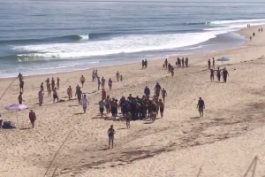 "Это было похоже на кадры из фильма "Челюсти": На пляже в США акула убила молодого мужчину