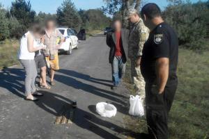 Собирал грибы: Рядом с польской границей обнаружили украинца с патронами и порохом