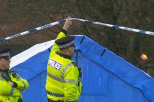 Британские спецслужбы нашли третьего фигуранта дела Скрипалей