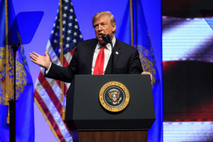 Трамп хочет урезать основания для получения гражданства США