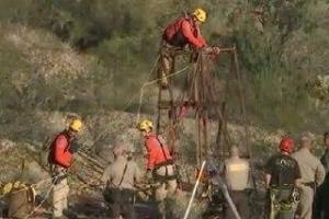 В Аризоне пожилой мужчина 40 часов отбивался от гремучих змей