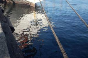 В акватории Азовского моря разлилась нефть: специалисты проводят проверку