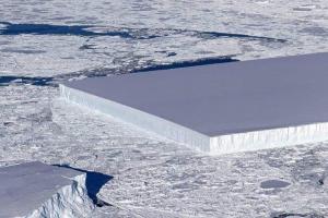 NASA опубликовало необычное фото айсберга прямоугольной формы