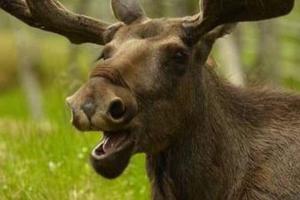 В Украине ввели новый рекордный штраф