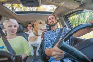 Онлайн-сервис BlaBlaCar сообщил важную информацию для пассажиров