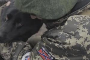 Скандал в Сумской области: Воинов АТО "поздравили" видеороликом с Захарченко 