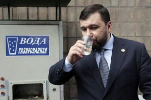 "Мы должны быть вместе": Пушилин заявил об "экономическом слиянии" с "ЛНР"