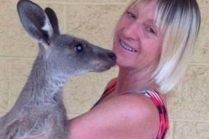 В США кенгуру избили семейную пару