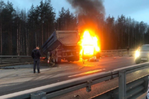 Погибли все пассажиры и водитель: под Санкт-Петербургом произошло жуткое ДТП