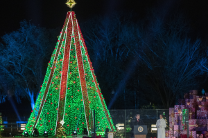Трамп зажег огни на рождественской елке перед Белым домом