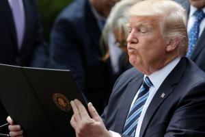 Журналистка назвала Трампа "расистской свиньей" в телеэфире