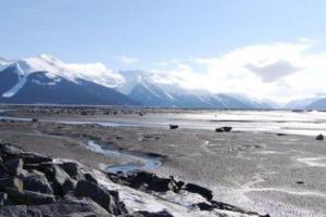 В США произошло мощное землетрясение