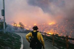 Лесной пожар в Калифорнии привел к гибели 9-ти человек