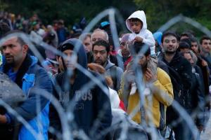 На границе с Мексикой мигранты объявили голодовку