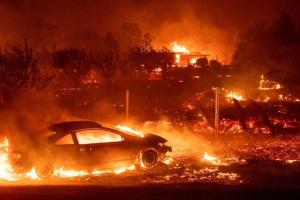 Пожар в Калифорнии унес жизни 44 людей