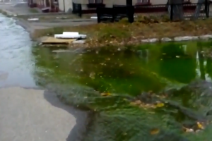В центре Лисичанска сняли на видео ярко-зеленый "ручей"