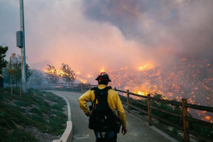 Калифорния в огне: лесные пожары добрались до особняков звезд