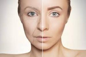 Ученые смогли остановить старение: подробности