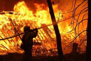 Пожары в Калифорнии: число жертв растет