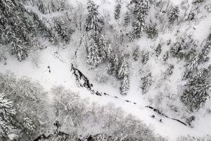 В России 3-летний ребенок прошел три километра на 35-градусном морозе