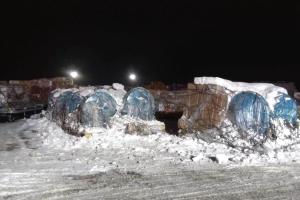 Посылки неделями лежат в снегу: В аэропорту "Борисполь" коллапс с приемом импортных грузов