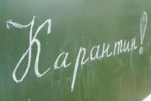Грипп на Луганщине: школы Лисичанска уходят на карантин, в Северодонецке внеплановые каникулы продлены