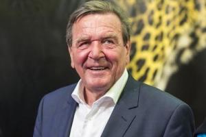 Немецкий политик обвинил Украину в вооруженном конфликте на Донбассе