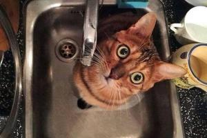 Часть Лисичанска осталась без воды: в центре города устраняют серьезный порыв