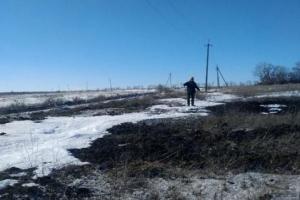 "Проведите агитацию в Старобельске, Лисичанске, Рубежном и Северодонецке": ЛЭО обратилось к кандидатам в президенты