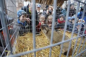 Сурок Маруся предсказала раннюю весну в Украине