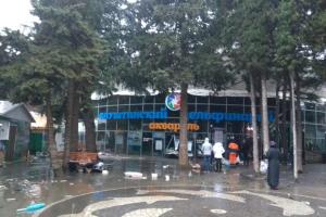В оккупированной Алуште лопнул дельфинарий