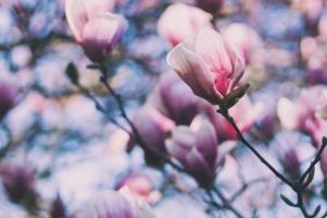 Синоптик прогнозирует начало апреля с минусовой температурой