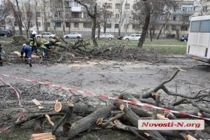 В Николаеве сильный ветер свалил дерево на маршрутку: травмированы дети